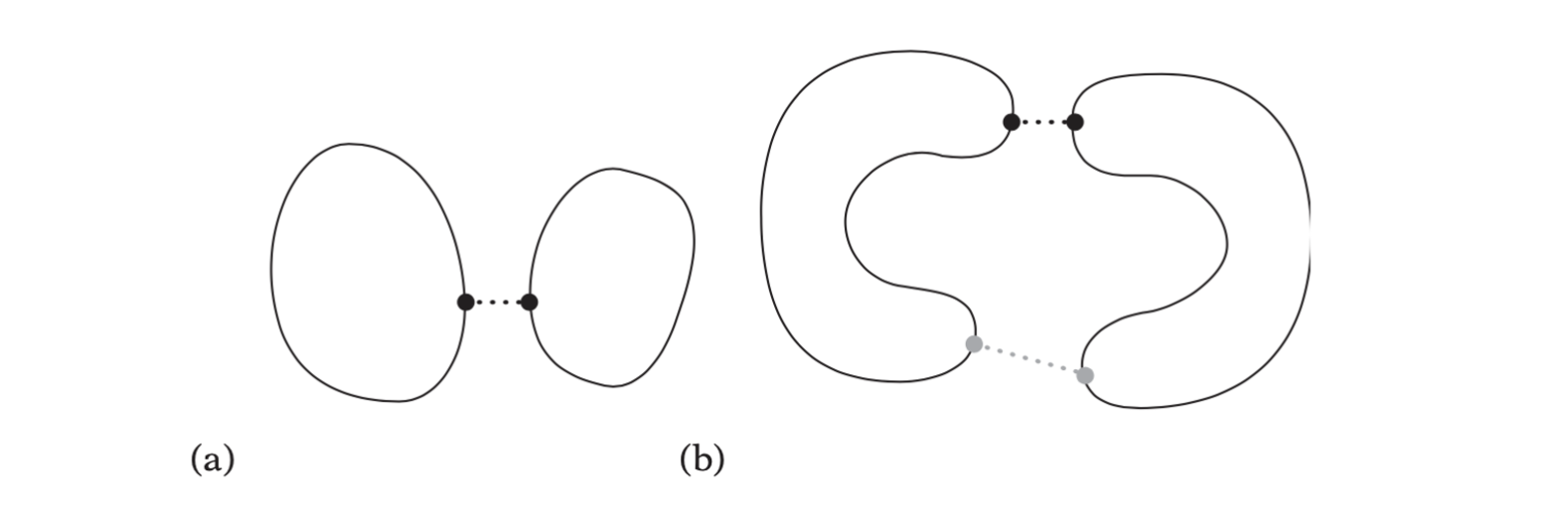 (a)For two convex objects a local minimum distance between two points is always a global minimum. (b) For two concave objects the local minimum distance between two points (in gray) is not necessarily a global minimum (in black).