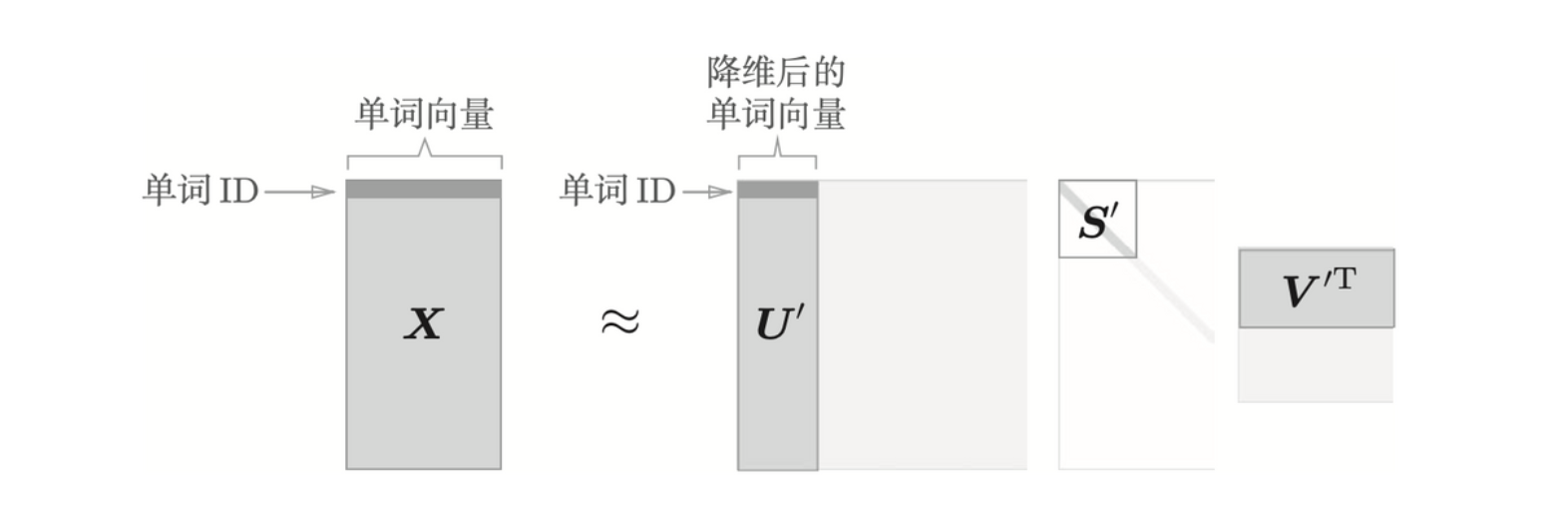 基于 SVD 的降维示意图