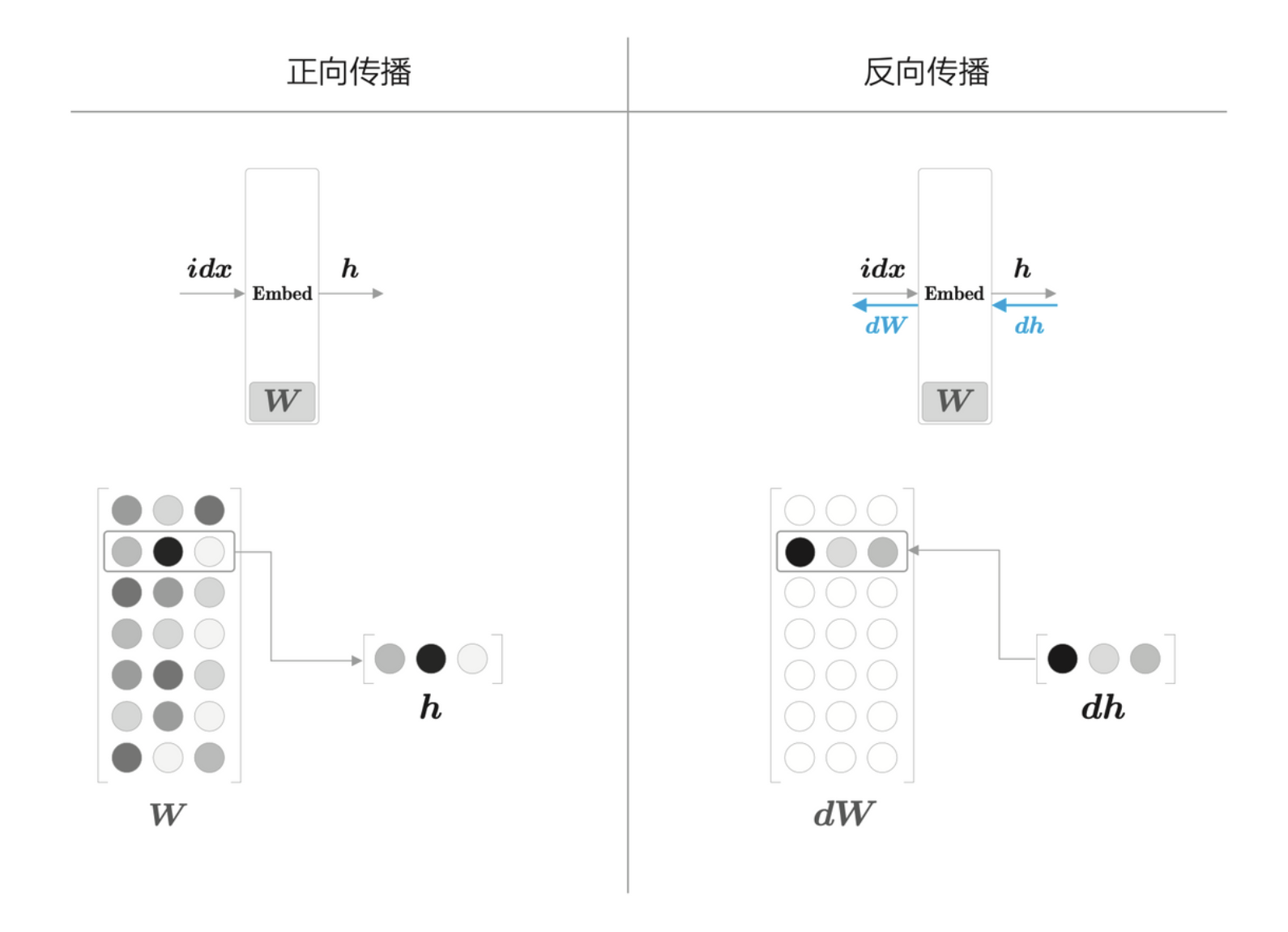 Embedding 层的正向传播和反向传播处理的概要